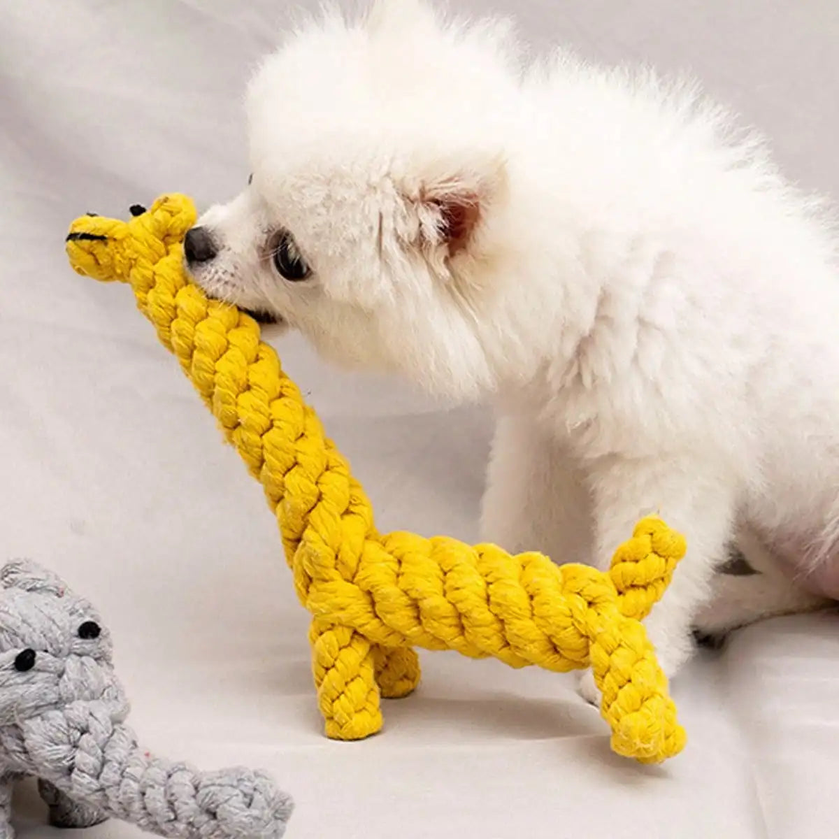 Rope Dog Toy – Knotted Cotton Chew Toy for Small & Medium Dogs