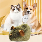 Interactive Mouse Cat Toy – Chirping Plush Toy for Kittens