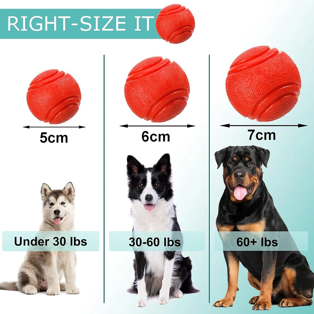 Dog Toy Ball – Rubber Training Ball for Outdoor Play