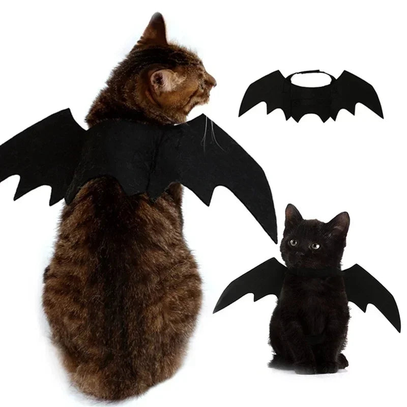 Bat Wing Cat Costume – Black Halloween Pet Cosplay Outfit