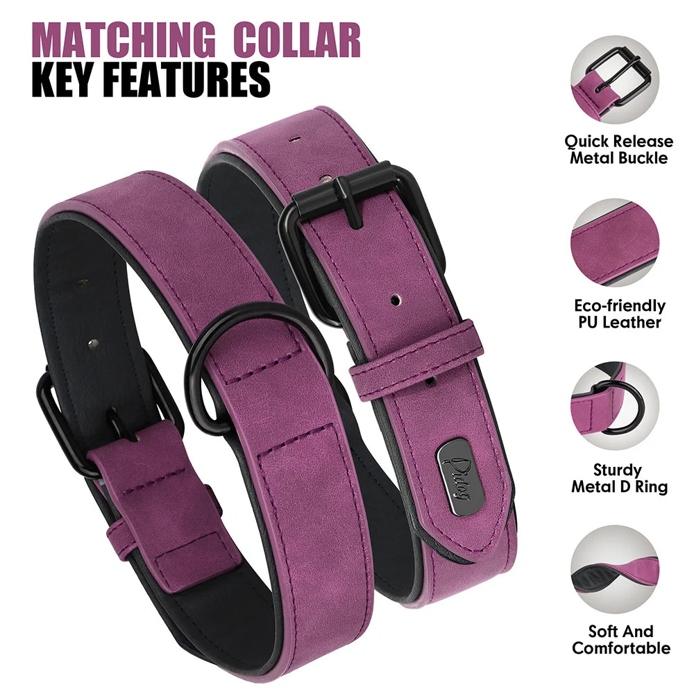 PU Leather Dog Collar and Leash Set, Adjustable Padded