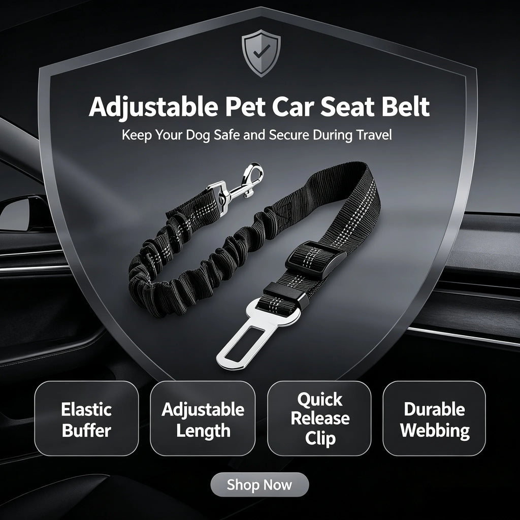 Dog Car Seat Belt