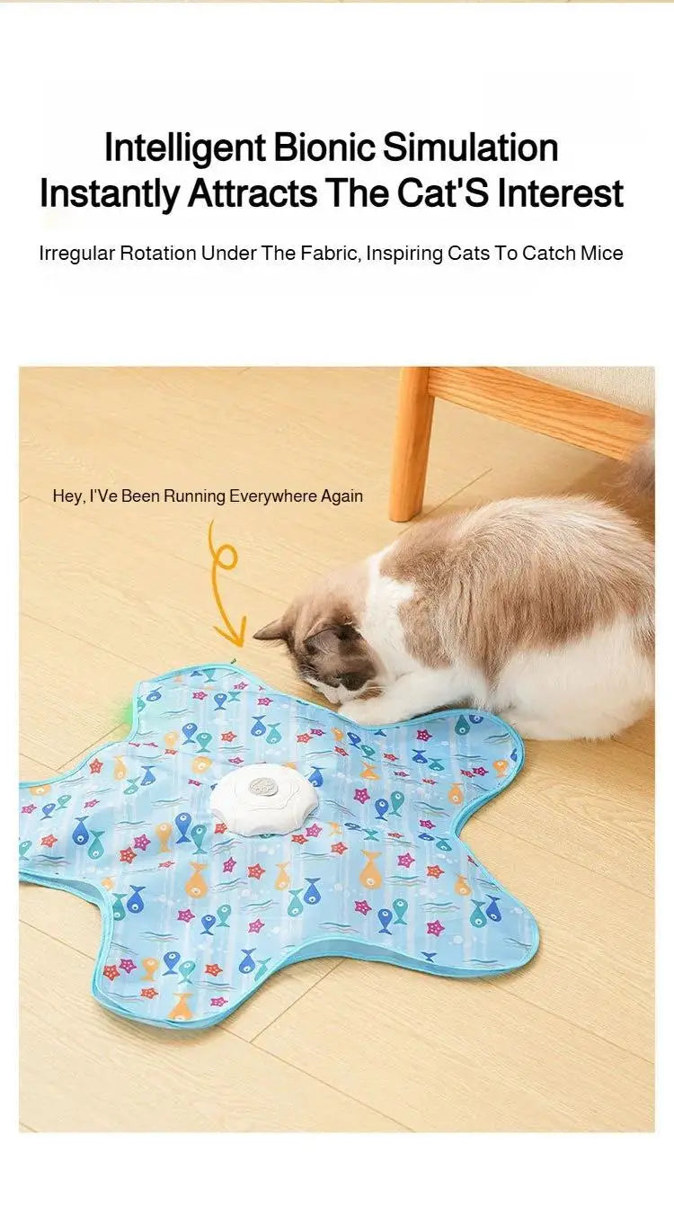 Interactive Cat Hide and Seek Toy – Motion Activated Feather Teaser