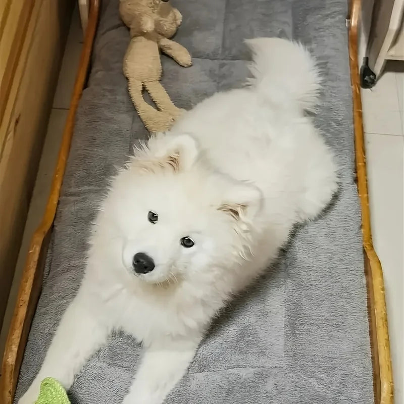 Plush Dog Bed – Oversized Soft Sofa Crate Pad for Cats & Dogs