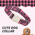 Breakaway Dog Collar – Adjustable Nylon Collar for Dogs & Cats