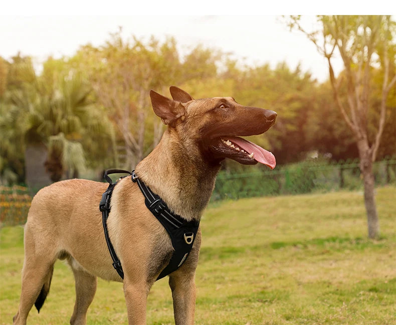 No Pull Dog Harness Adjustable Nylon Reflective Padded