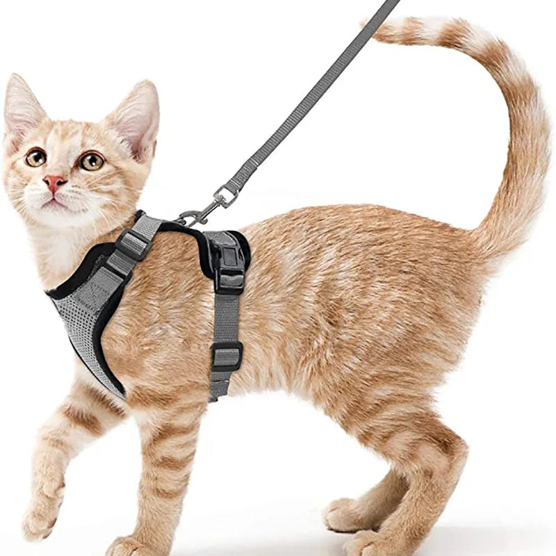 Cat Harness and Leash Set – Adjustable Vest for Walking