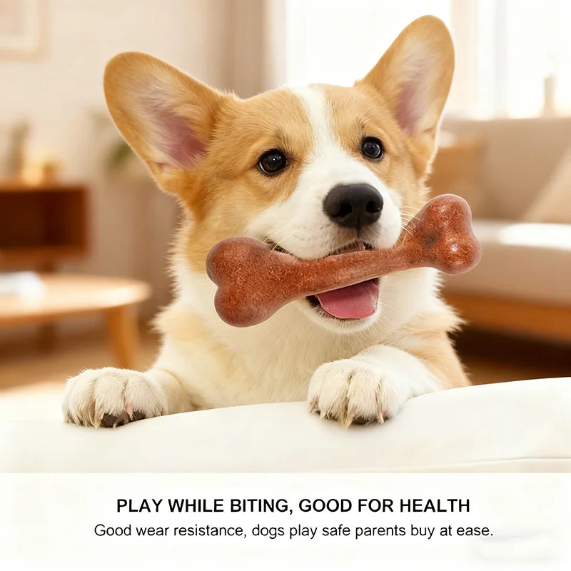 Dog Chew Toy