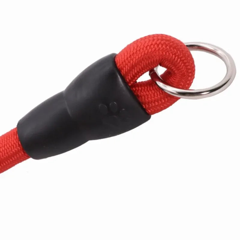 Dog Training Collar – Adjustable Nylon Collar for Walking & Training