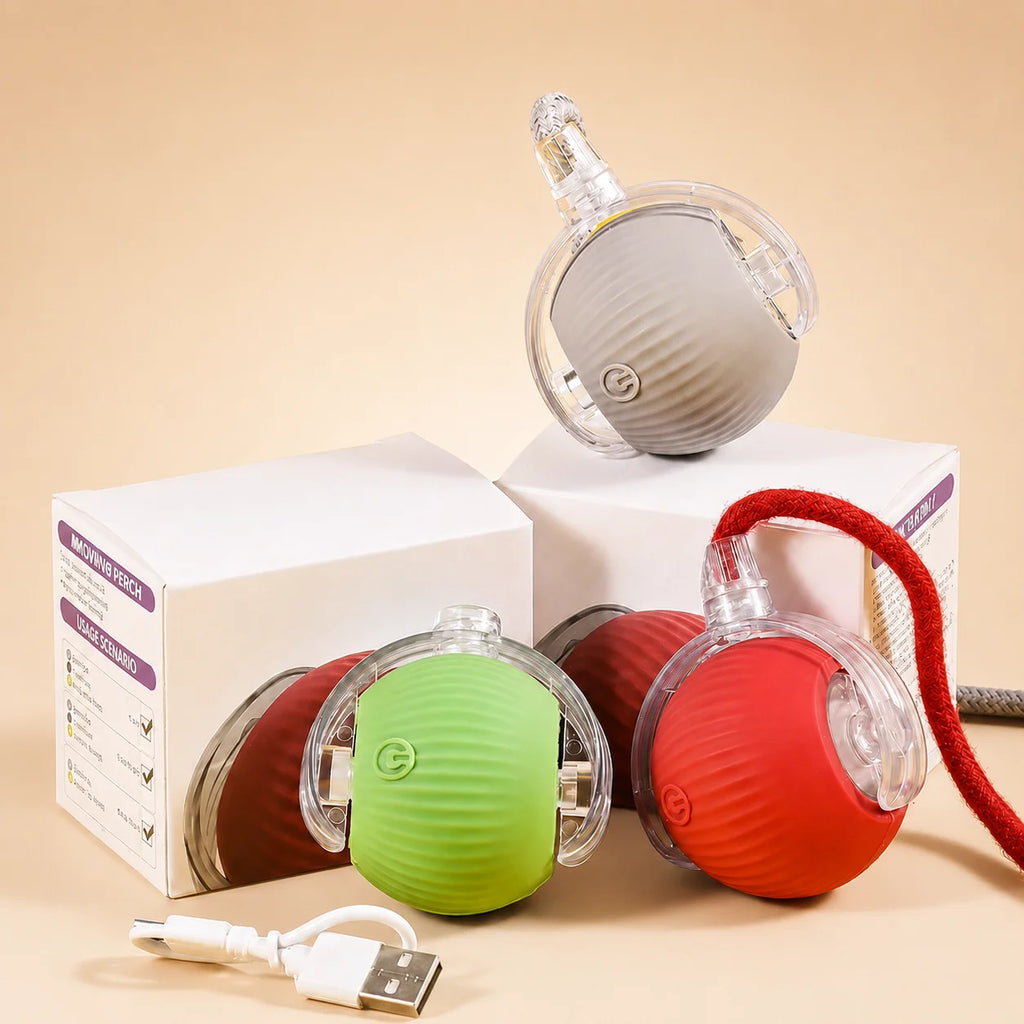 Automatic Dog Ball, Rechargeable Interactive Toy for Dogs