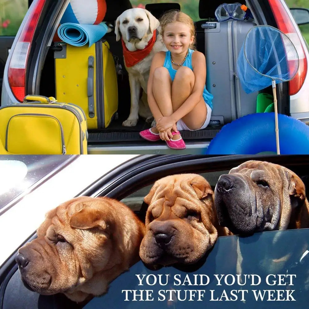 Dog Car Seat Belt Adjustable Nylon Safety Harness for Pet Travel