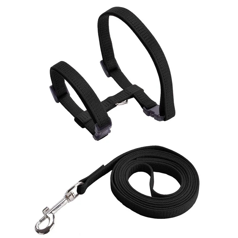Adjustable Cat Collar – Breakaway Nylon Collar for Kittens & Cats
