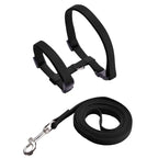 Adjustable Cat Collar – Cozy Nylon Breakaway Collar