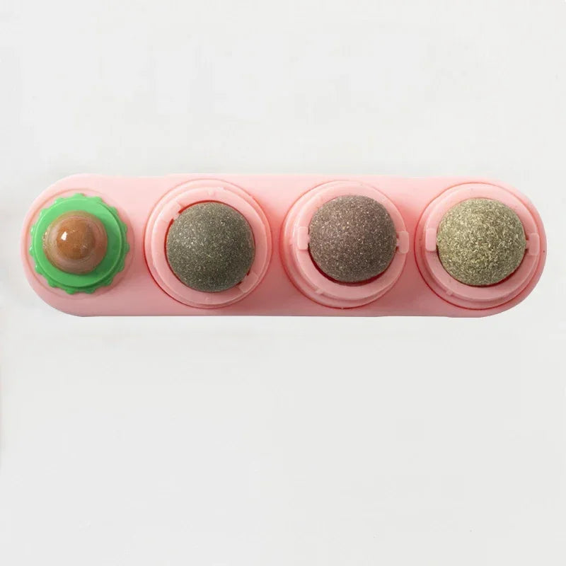 Catnip Wall Ball Toy – Rotating Interactive Cat Teeth Cleaning Toy