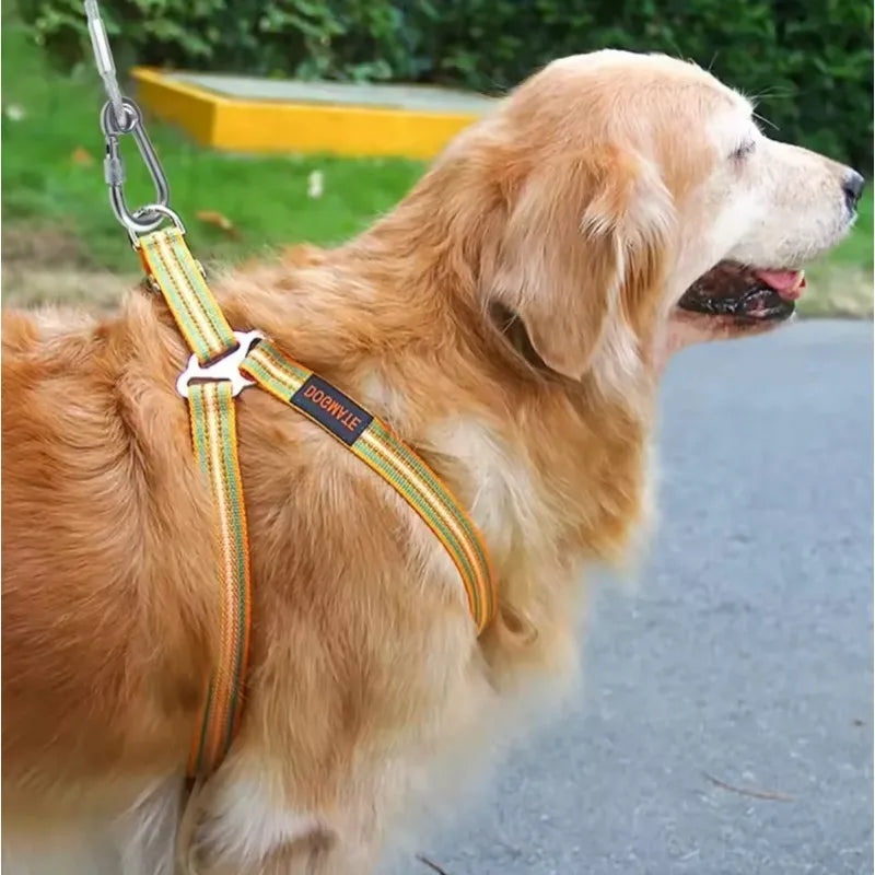 Dog Rope Toy – Braided Carrot Chew & Tug Toy