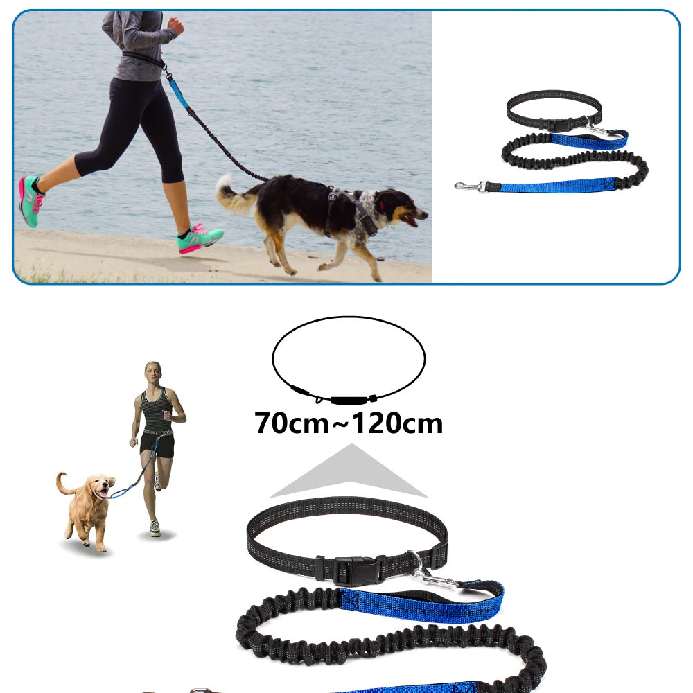 Hands Free Dog Leash