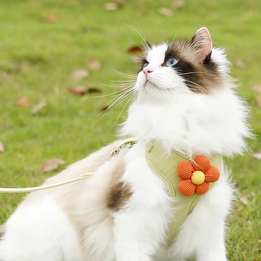 Cat Harness and Leash Set Adjustable Breathable Kitten Harness