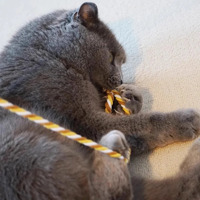 Cat Teaser Wand Long Ribbon Interactive Toy for Kittens