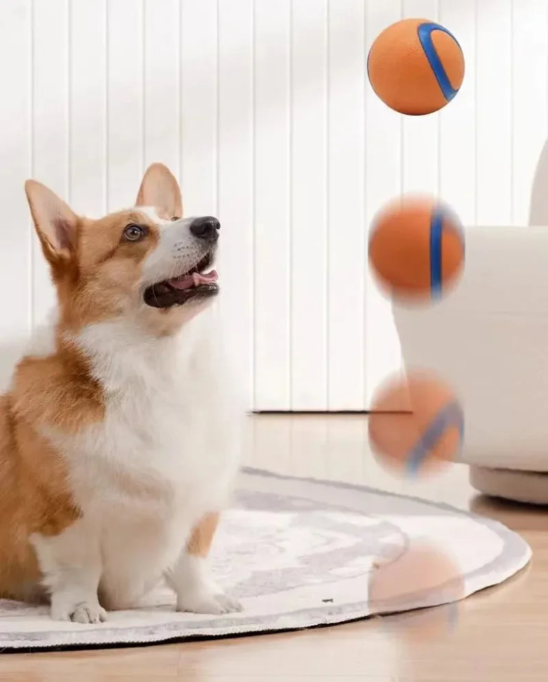 Rubber Dog Ball – Fetch, Chew & Jumping Toy
