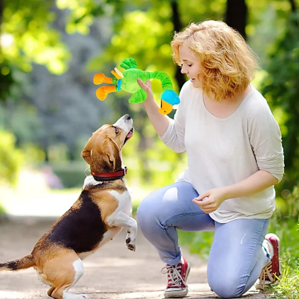 Squeaky Dog Toy – Chicken Plush Chew & Interactive Puppy Toy