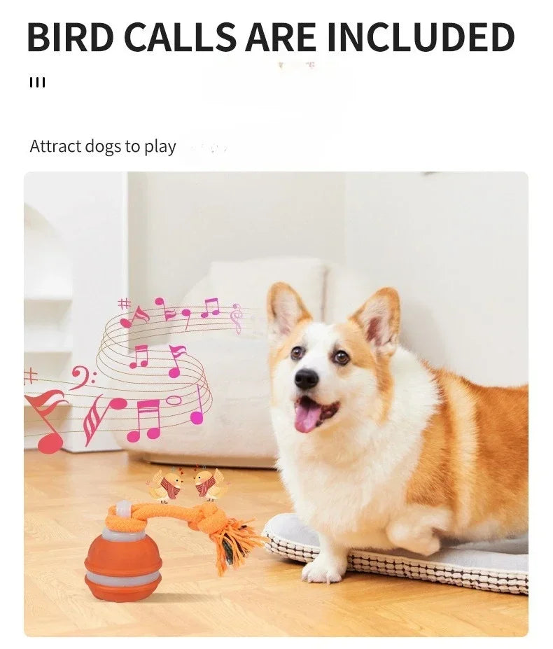 Interactive Dog Ball – Motion Activated Rolling Toy for Dogs