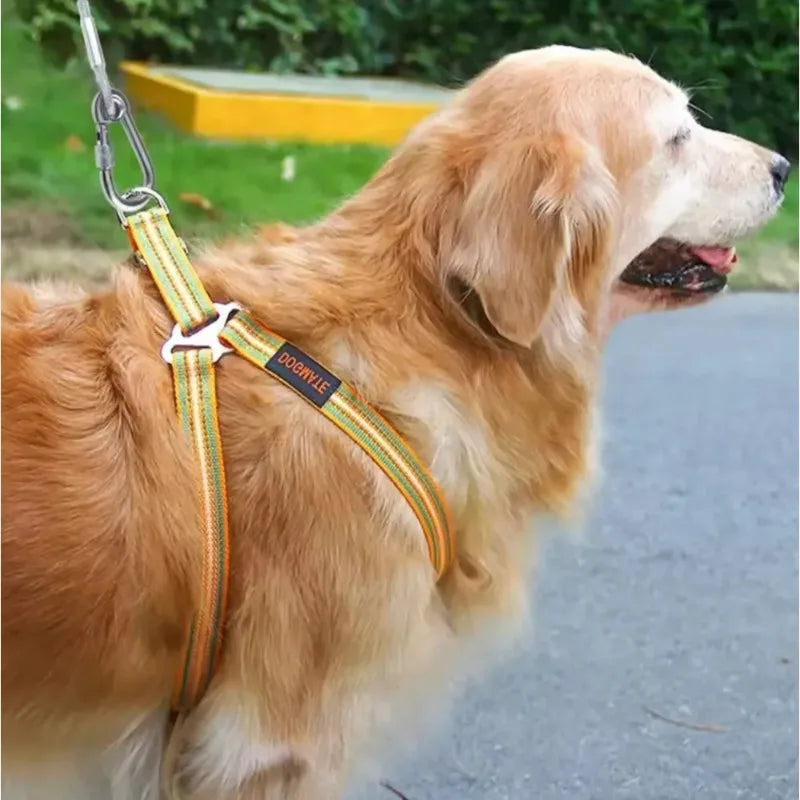 Dog Rope Toy – Braided Carrot Chew & Tug Toy
