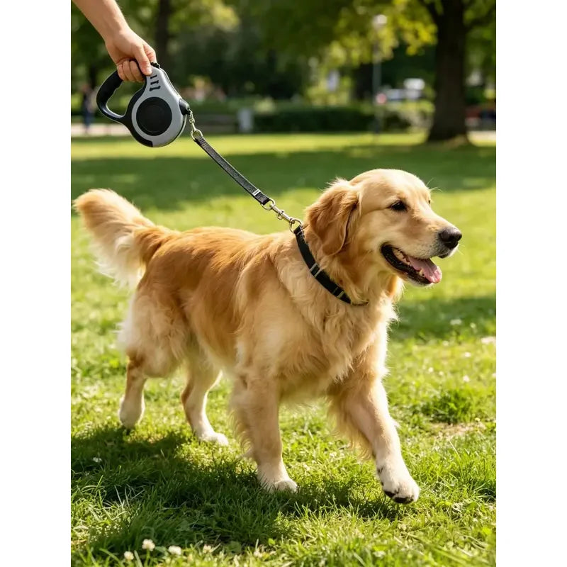 Retractable Dog Leash – Automatic Tangle-Resistant Walking Strap