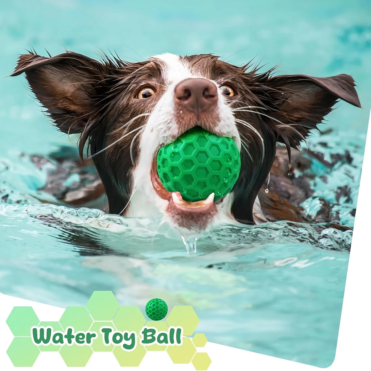 Rubber Dog Chew Toy – Squeaky Hexagonal Chew Ball
