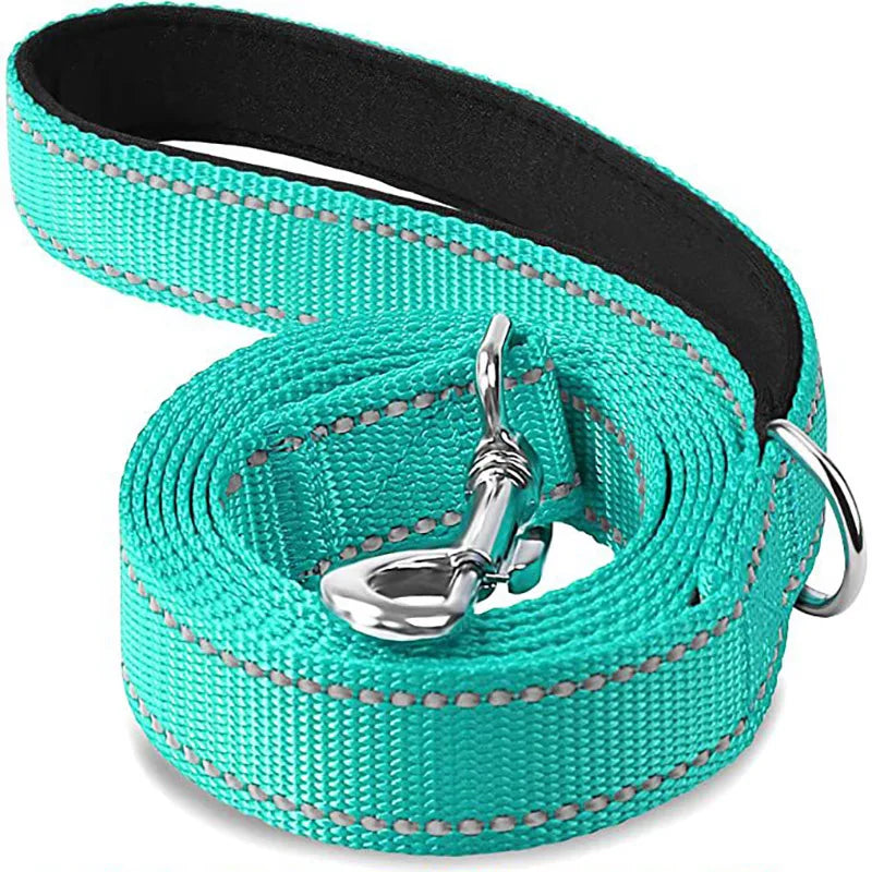 Reflective Dog Leash – Nylon Night Walking & Training Lead