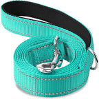 Reflective Dog Leash, Nylon Walking and Training Lead for Night