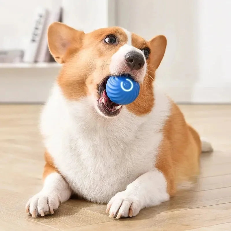 Interactive Dog Toy Automatic Moving Bouncing Ball USB-C