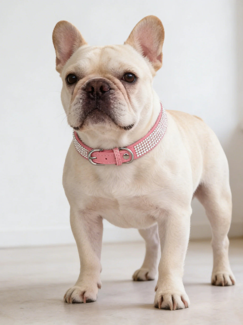 New Shiny Rhinestone Pet Collar, Soft Microfiber Adjustable Collar for Small Medium Dogs & Cats, Lightweight Walking Collar