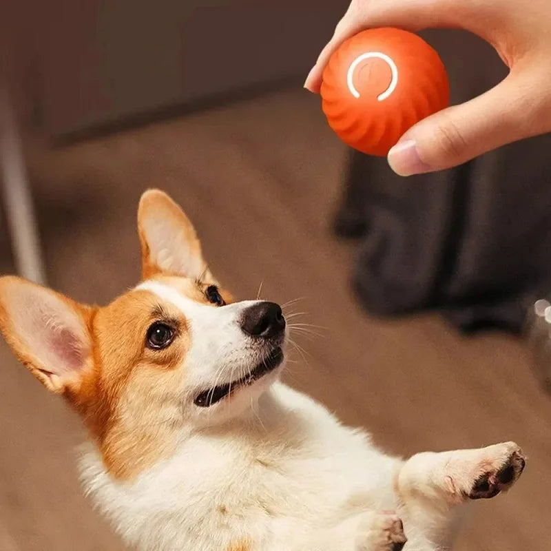 Automatic Dog Ball Toy – Interactive Rolling & Bouncing T