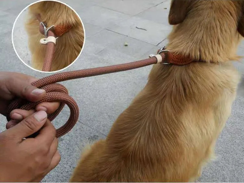 Slip Rope Dog Leash – Adjustable Braided Training Lead for Large Dogs