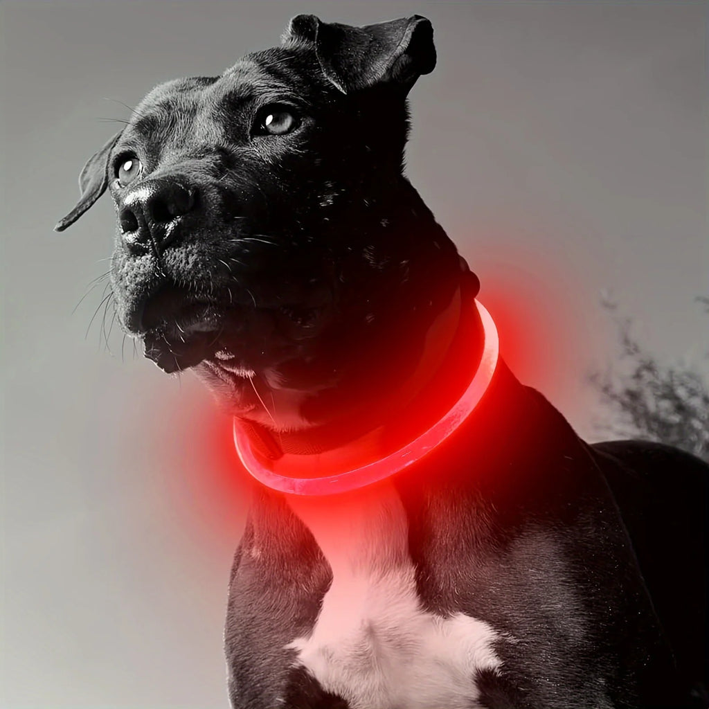 LED Dog Collar – USB Rechargeable Light-Up Reflective Collar