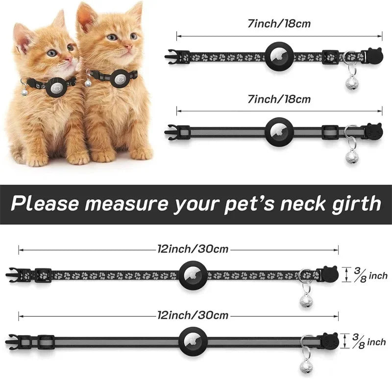 at Collar with AirTag Holder