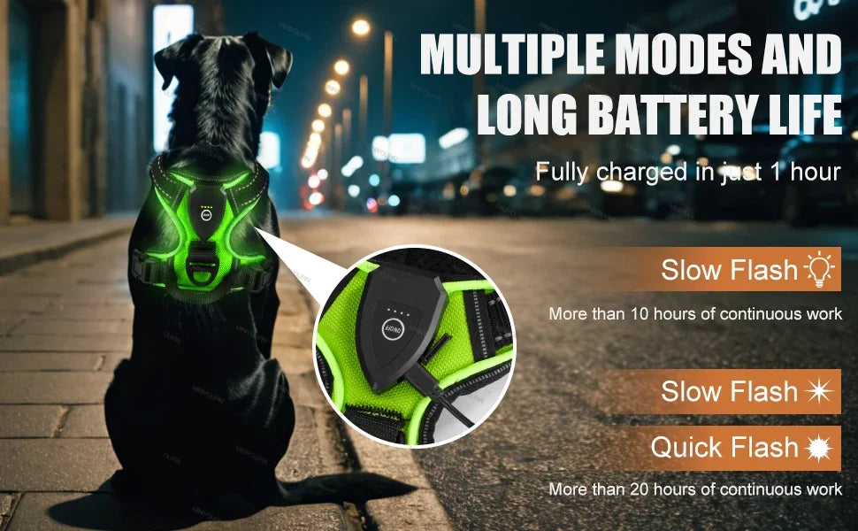 LED Dog Harness, Rechargeable Light Up Vest for Walking