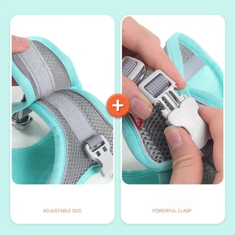 A comfortable, adjustable harness with reflective detailing for everyday pet walks.