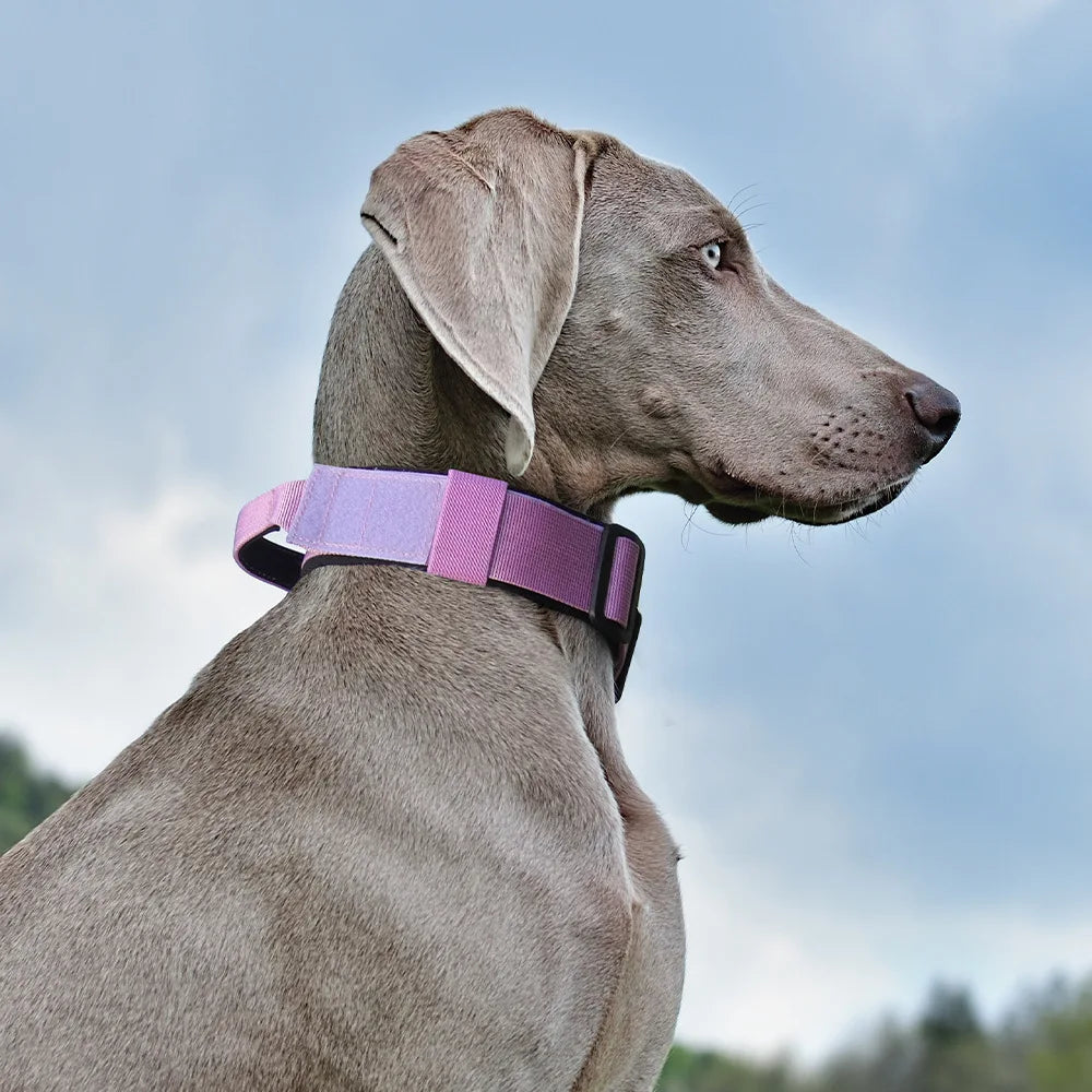 Tactical Dog Collar for Medium & Large Dogs, Padded Adjustable