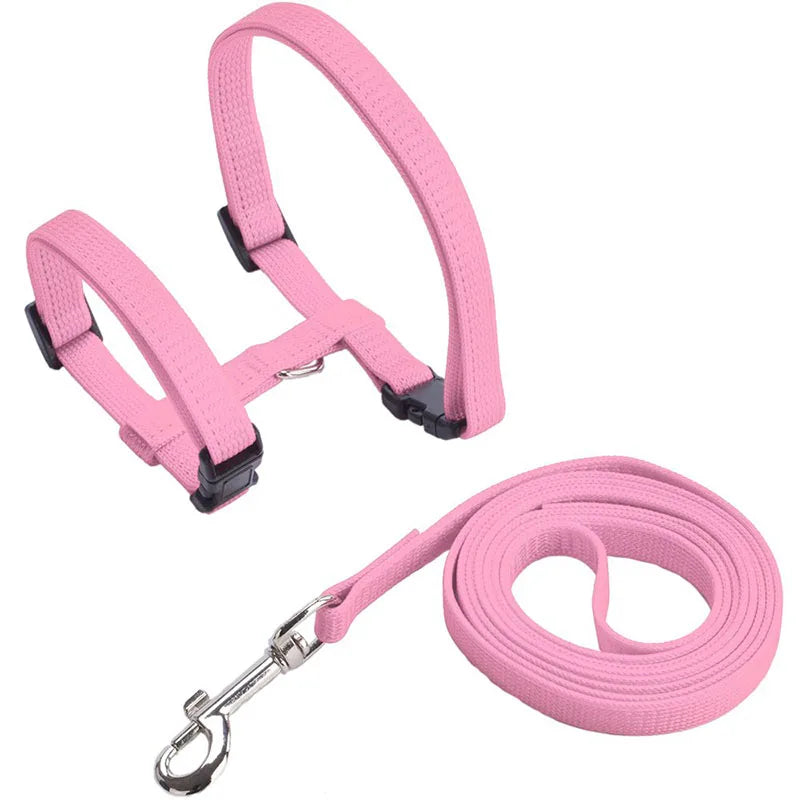 Adjustable Cat Collar – Breakaway Nylon Collar for Kittens & Cats