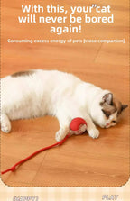 Cat Grooming Arch with Massage Brush & Scratching Pad