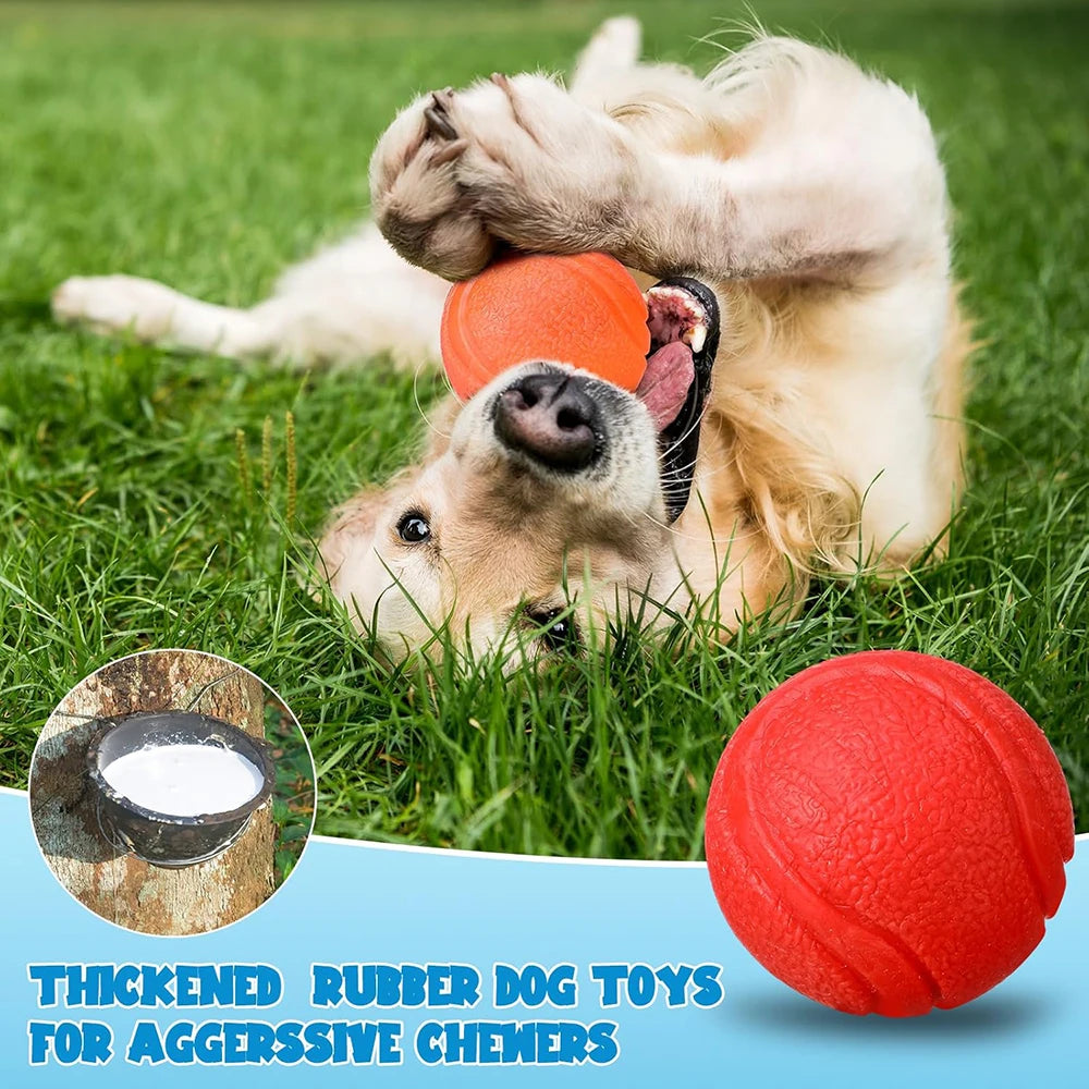 Dog Toy Ball – Rubber Training Ball for Outdoor Play