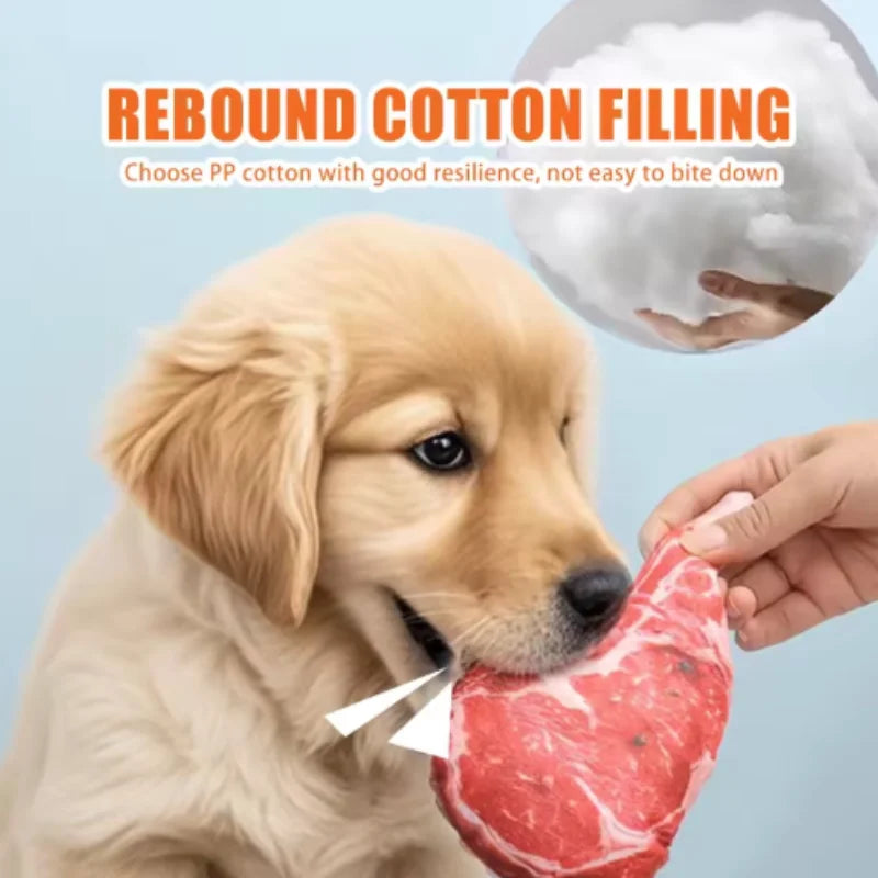 Squeaky Dog Toy Chew Bone for Puppies & Training
