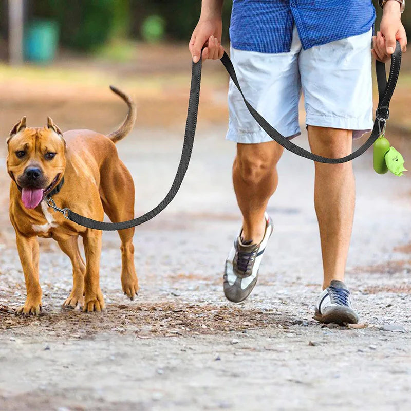 Reflective Dog Leash – Nylon Night Walking & Training Lead