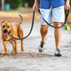 Reflective Dog Leash, Nylon Walking and Training Lead for Night