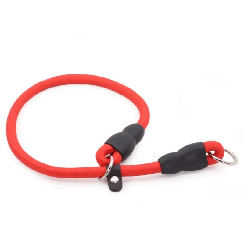 Dog Training Collar – Adjustable Nylon Collar for Walking & Training