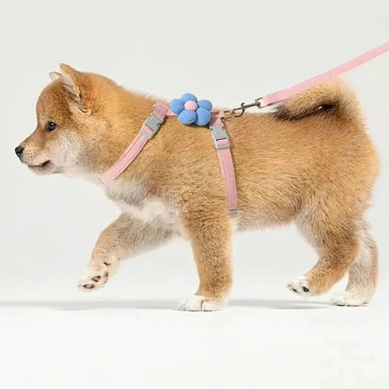 Cat Harness and Leash Set – Adjustable Walking Harness