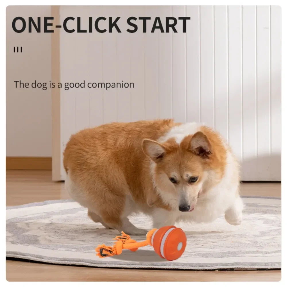 Interactive Dog Ball – Motion Activated Rolling Toy for Dogs
