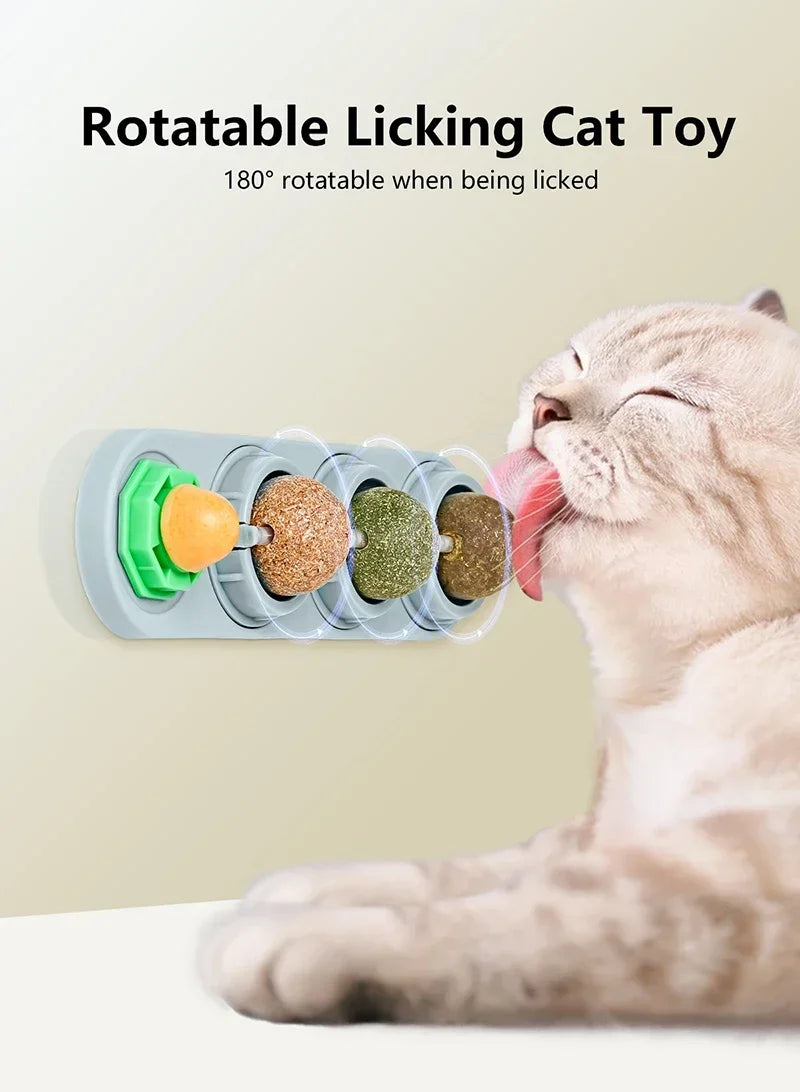 Catnip Wall Ball Toy – Rotating Interactive Cat Teeth Cleaning Toy