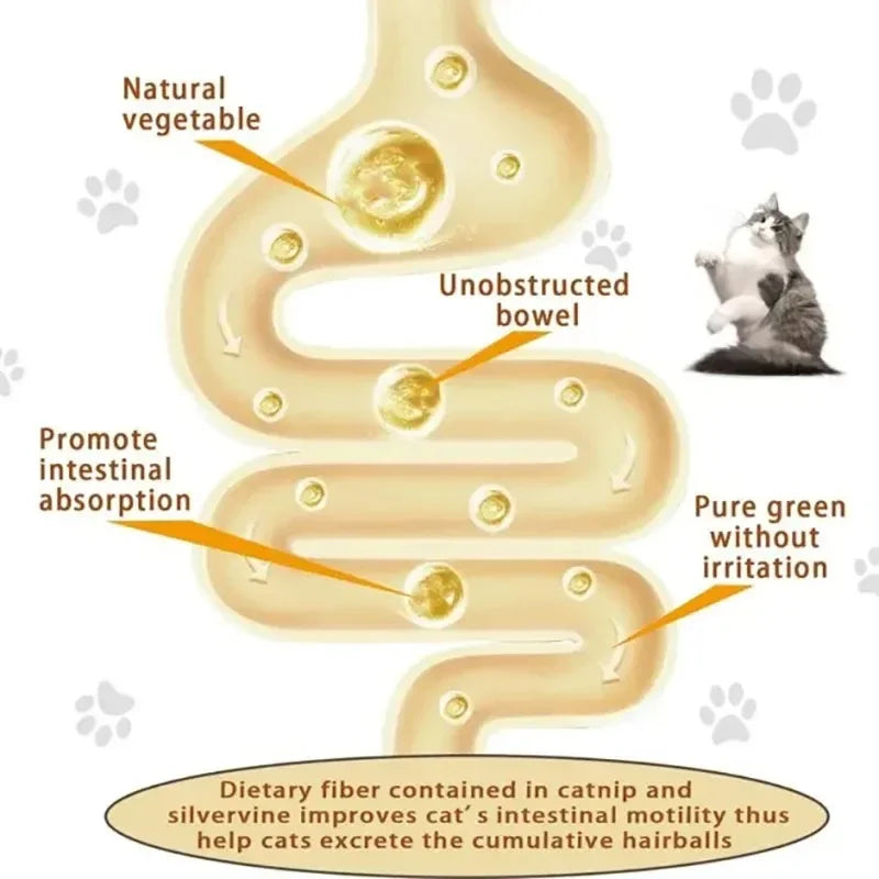 Catnip Wall Ball Toy – Rotating Interactive Cat Teeth Cleaning Toy